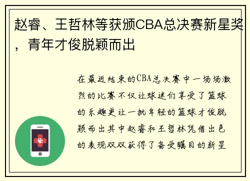 赵睿、王哲林等获颁CBA总决赛新星奖，青年才俊脱颖而出